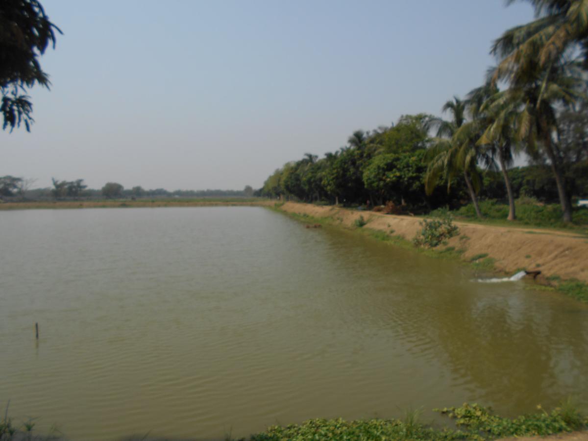 Jamunadighi Eco-Resort Budbud Exterior photo